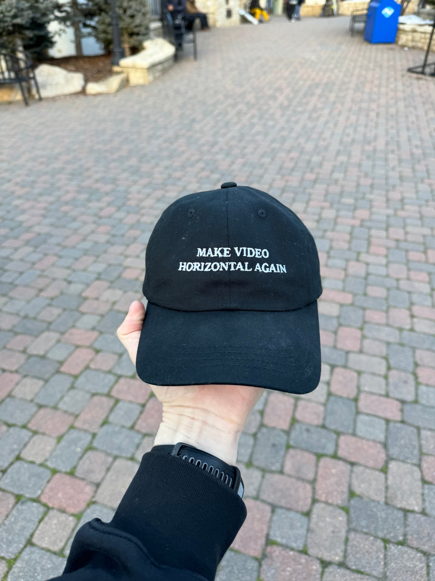 "Make Video Horizontal Again" - Dad Hat